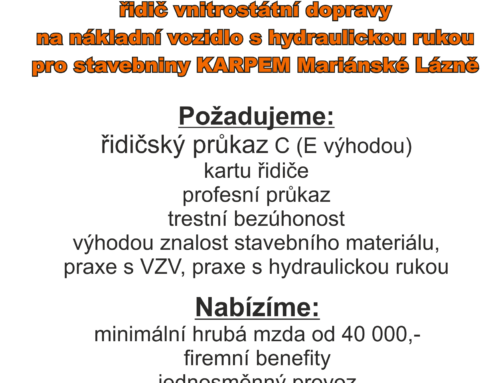 Řidič – Mariánské Lázně
